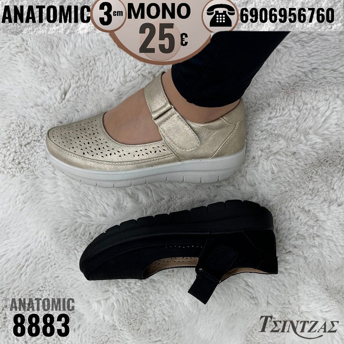 Scratch Drill Anatomical Platforms - 8883